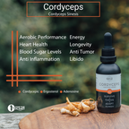 Saluz AFA - Cordyceps Bundle – Energy - Performance - Longevity - Immune Support – Wild Harvested Blue Green Algae Superfood & Cordyceps Sinensis Extract – Boosts Focus Stamina Recovery & Vitality – Life Essential Superfood – 60 Servings